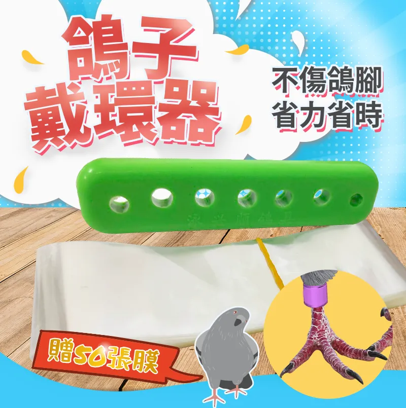 鴿子固定架