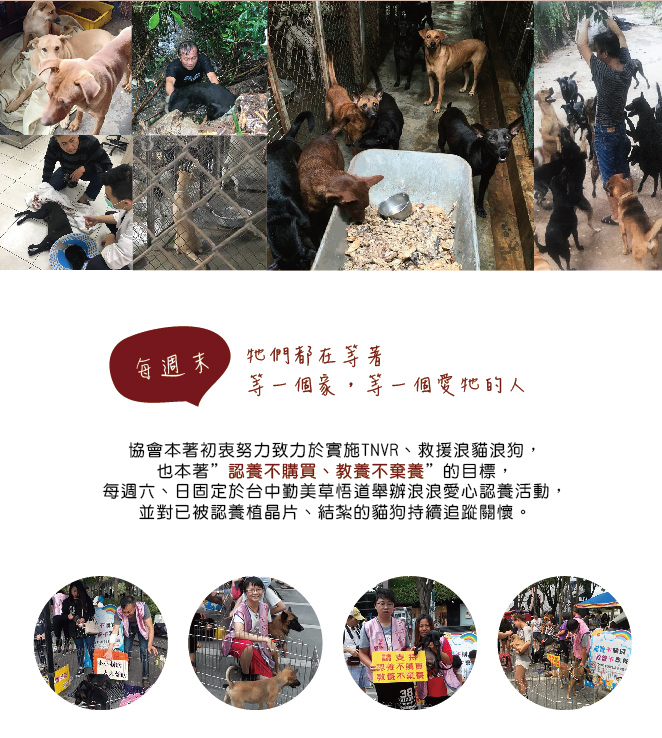 愛心集食，飼料募集，將您的愛心即時送達台中市希望愛生命關懷協會 免運費