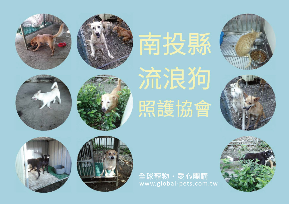 愛心團購│南投投縣流浪狗照護協會 每月募集飼料進度查詢 最新飼料進度查詢 歷史捐贈紀錄查詢
