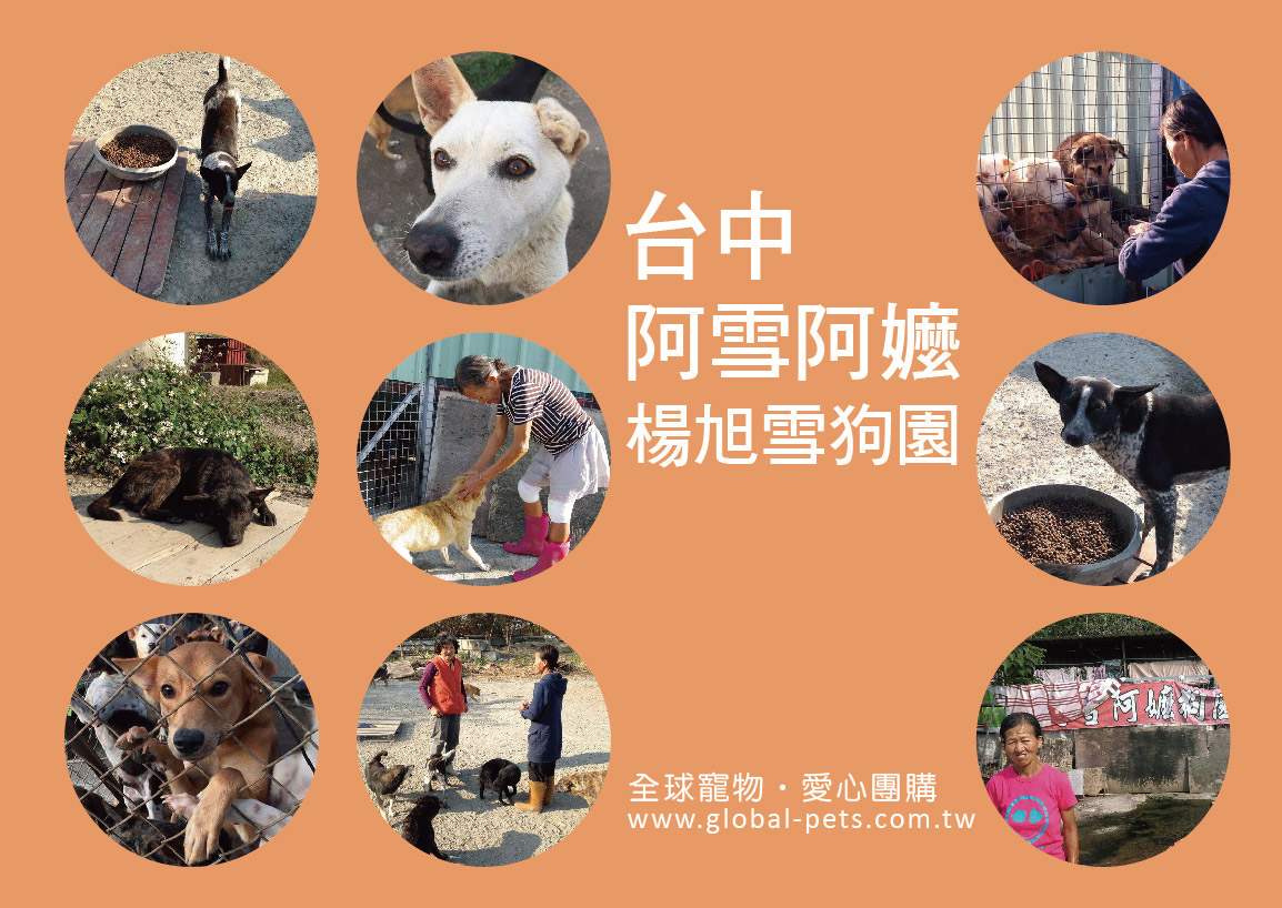 愛心團購│台中烏日阿雪阿嬤狗園 每月募集飼料進度查詢 最新飼料進度查詢 歷史捐贈紀錄查詢