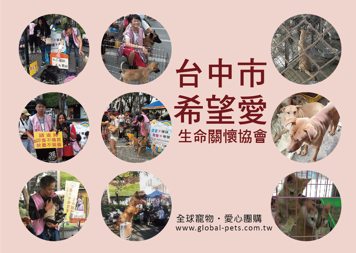狗狗助糧團購平台，每個月將每一位捐贈者的愛心送達台中市希望愛關懷協會 每月募集飼料進度查詢