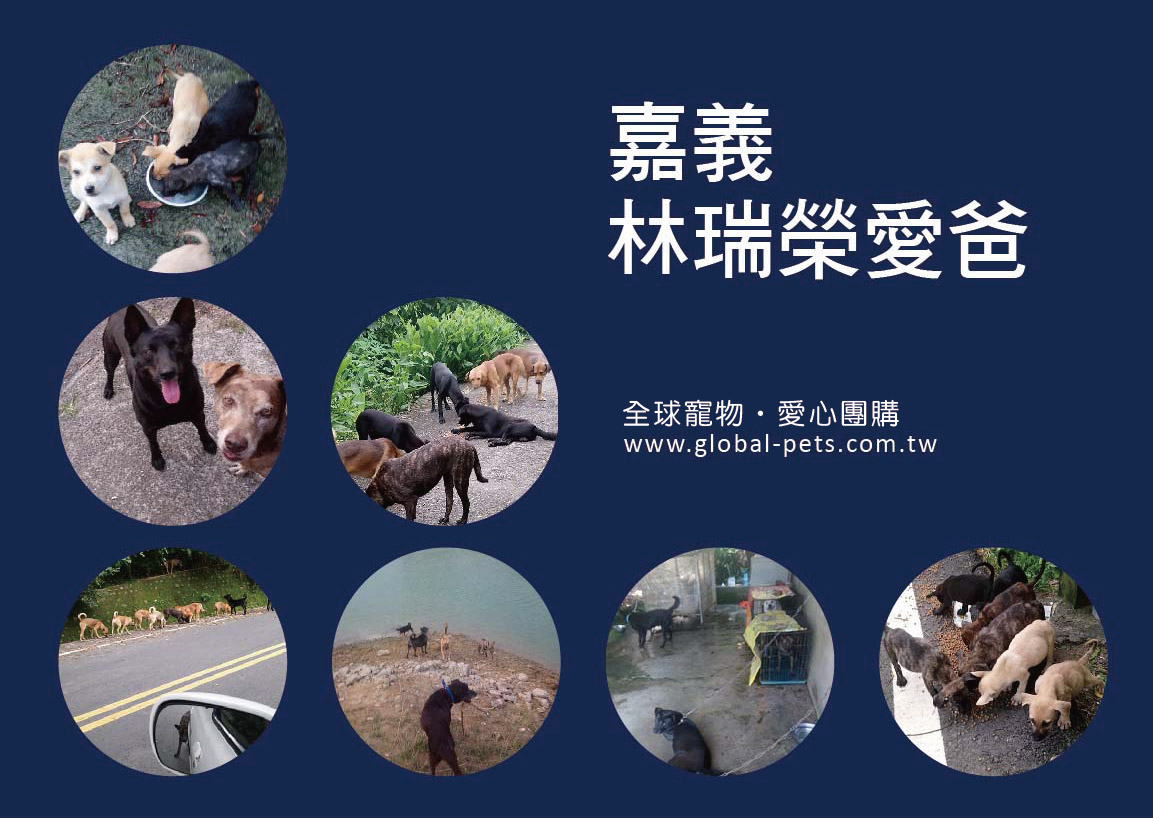 狗狗助糧團購，每個月將每一位捐贈者的愛心送達嘉義林瑞榮愛爸 每月募集飼料進度查詢