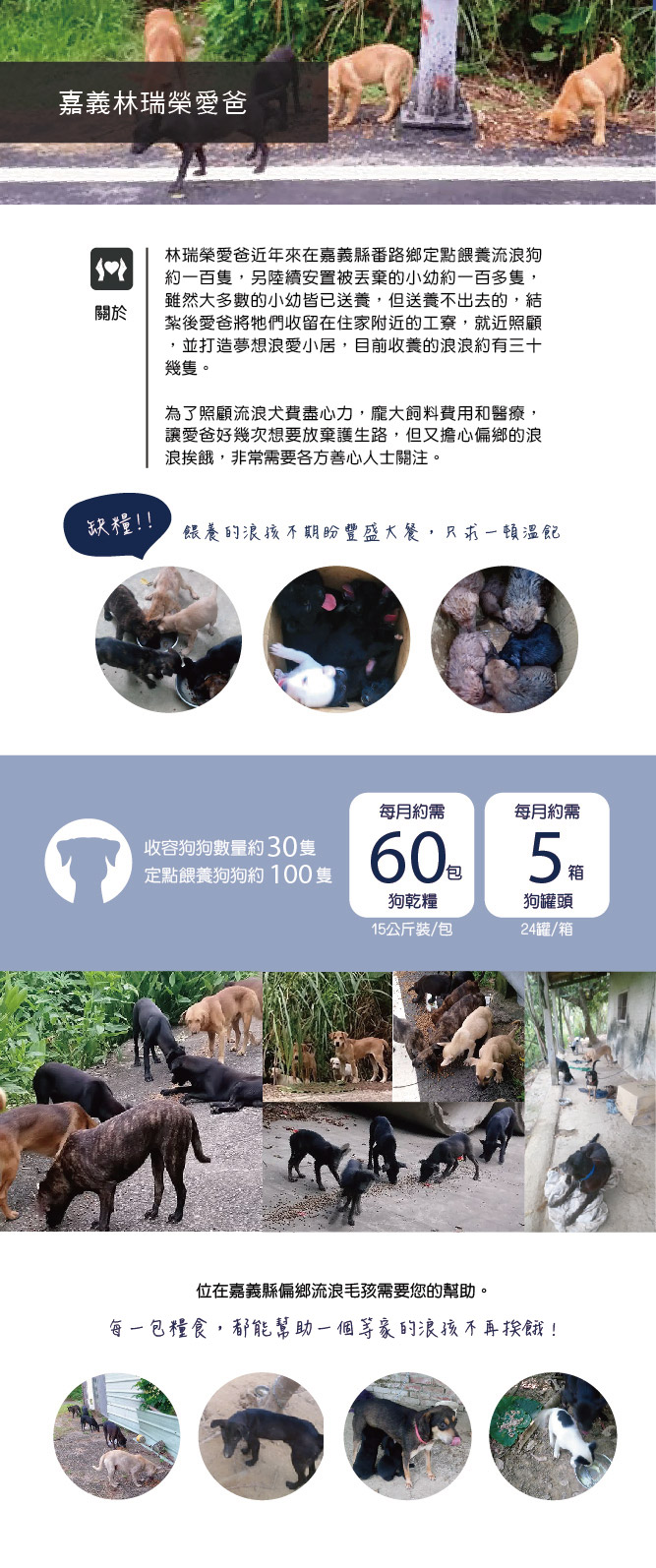 全球寵物X浪浪飼料愛心團購│幫助弱勢狗園很簡單!每月一包飼料，讓弱勢園區的愛爸愛媽不再為飼料費煩惱。