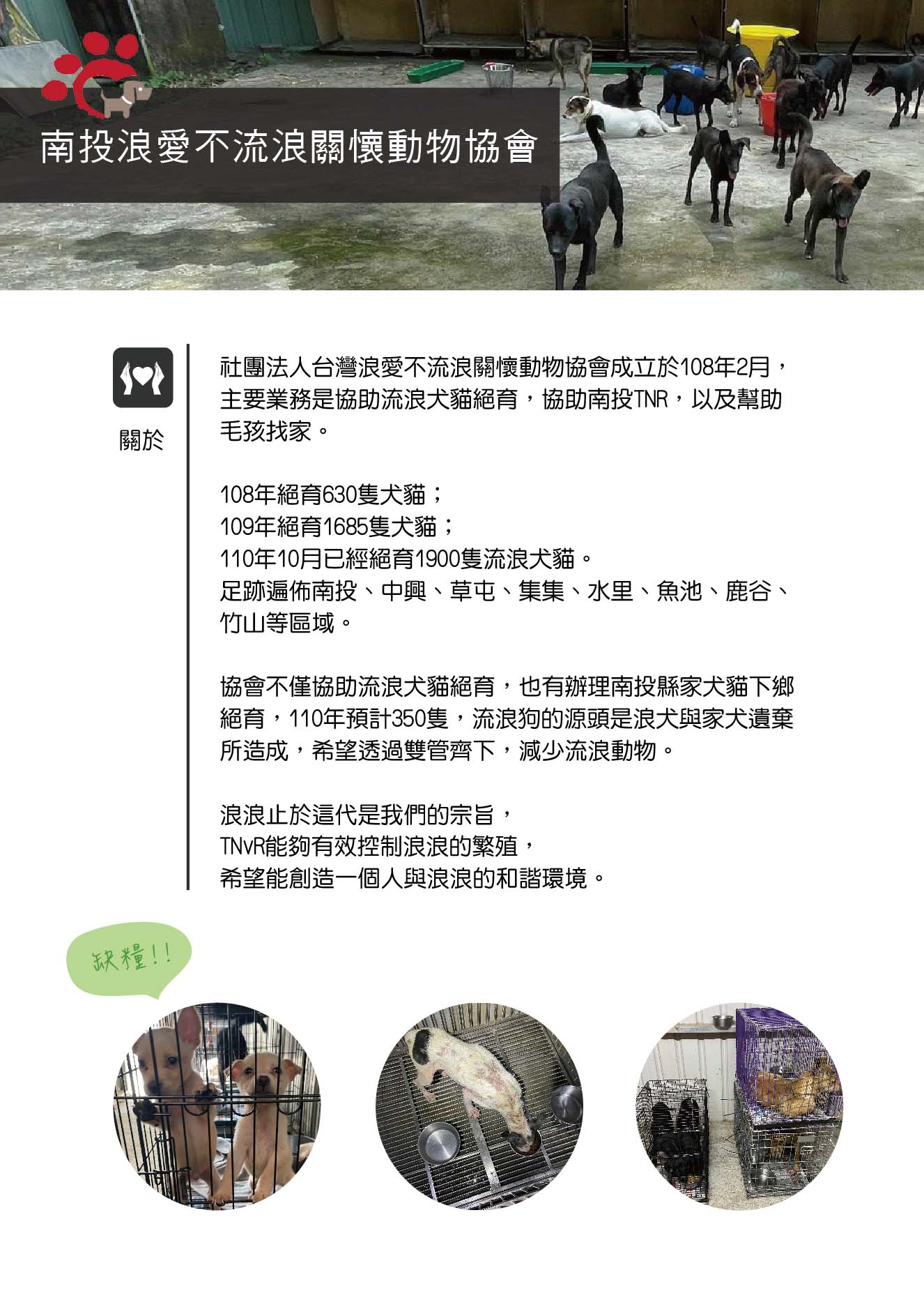 開團中!貓飼料愛心團購，幫您直送至南投浪愛不流浪
