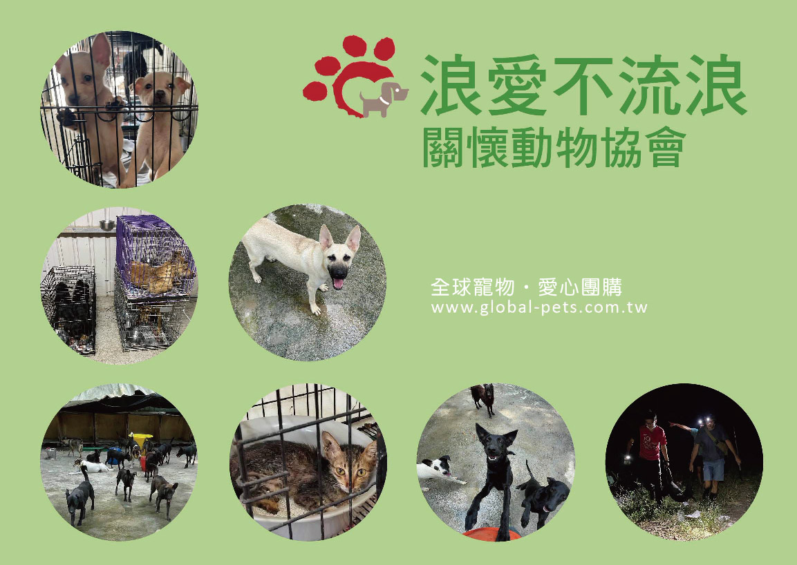 愛心貓飼料團購進度查詢