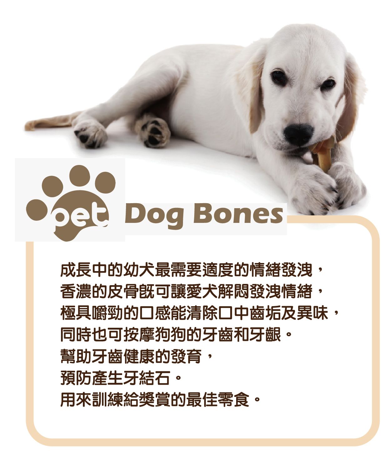 戀戀寵物潔牙骨是您用來訓練或獎賞愛犬的最佳選擇丨全球寵物狗狗零嘴