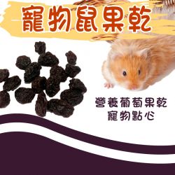 寵物鼠果乾-葡萄乾 30g